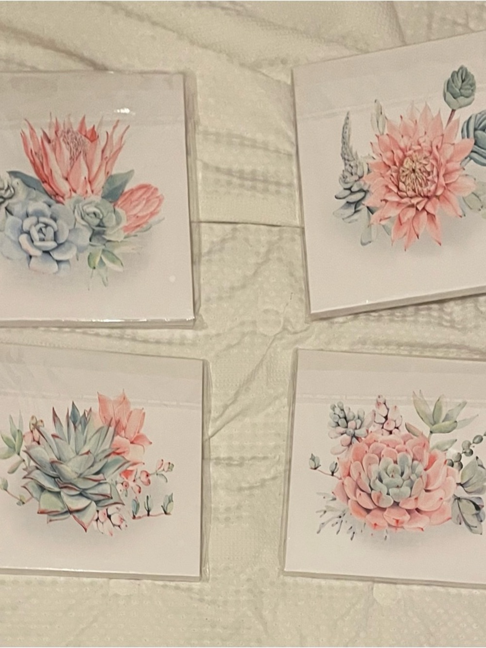 Amazon Floral Succulent Wall Art Set - Pink and Sage Accents